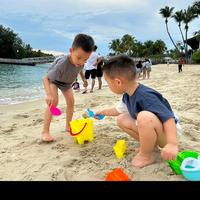 星星辰辰他爸头像