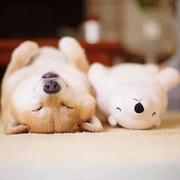 飞天小女警Y的个人资料头像