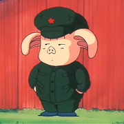 云喜云喜的个人资料头像