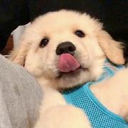 用户5309624879699的个人资料头像