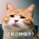魔法钢琴1w3头像