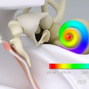 顺德爱声听力头像