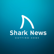 鲨鱼快讯的个人资料头像