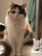 三花花的个人资料头像