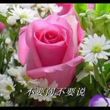 天上丫头头像