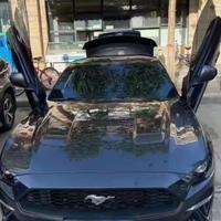 mustang202251头像