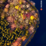 用户6293723518889头像