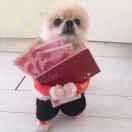 栋子就是我的个人资料头像