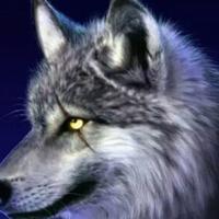 单身贵族666666头像