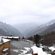 xingqi8的个人资料头像