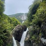 小楼一夜听风雨……头像