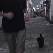 两碗大米饭的个人资料头像