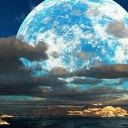 风花雪夜的个人资料头像