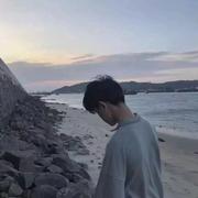 枫叶y的个人资料头像