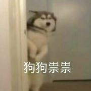 hyy636的个人资料头像