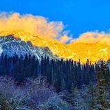坦荡的高山P4v头像