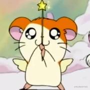 耿小歌的个人资料头像