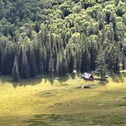 linnwu的个人资料头像