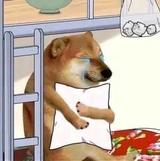 遥遥领先HW头像