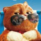 YAO明的个人资料头像