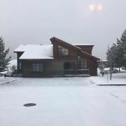 南山一棵松的个人资料头像