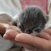 Zayt的个人资料头像