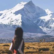 冰冰饼干的个人资料头像