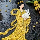 非凡百灵鸟M6Z头像