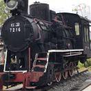 倔强小小的个人资料头像