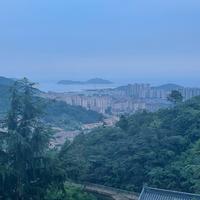 万能百物精选头像