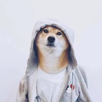 秋名山开快车的头像