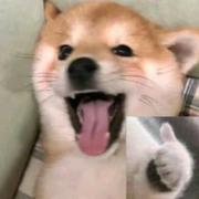 派对阿布的个人资料头像