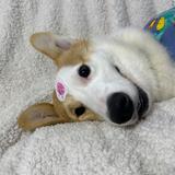 陆开心的悠哉生活头像