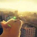 明年今日1997的个人资料头像