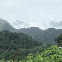 茫茫心雨头像