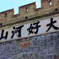 睿智山丘v头像