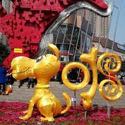 五月466的个人资料头像