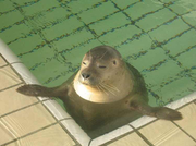 hillevn的个人资料头像