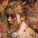 黑树的个人资料头像