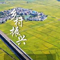 小于的天空之城头像