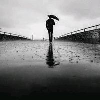 用户6004127874000头像