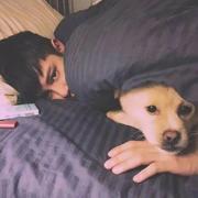 见青山49的个人资料头像