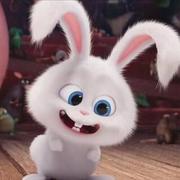 春虫虫的个人资料头像