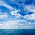 一碗老面i的个人资料头像