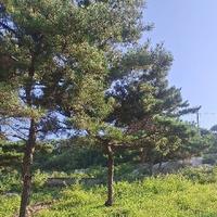 江湖皆过往L头像