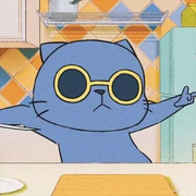 thisisxin的个人资料头像