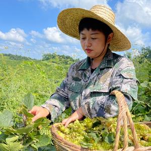 白家榛子干果铺头像