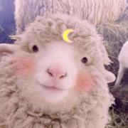 是橙子啊的个人资料头像