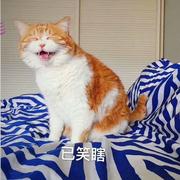 BOOK肆壹的个人资料头像