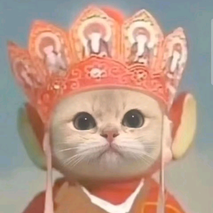 番小茄头像
